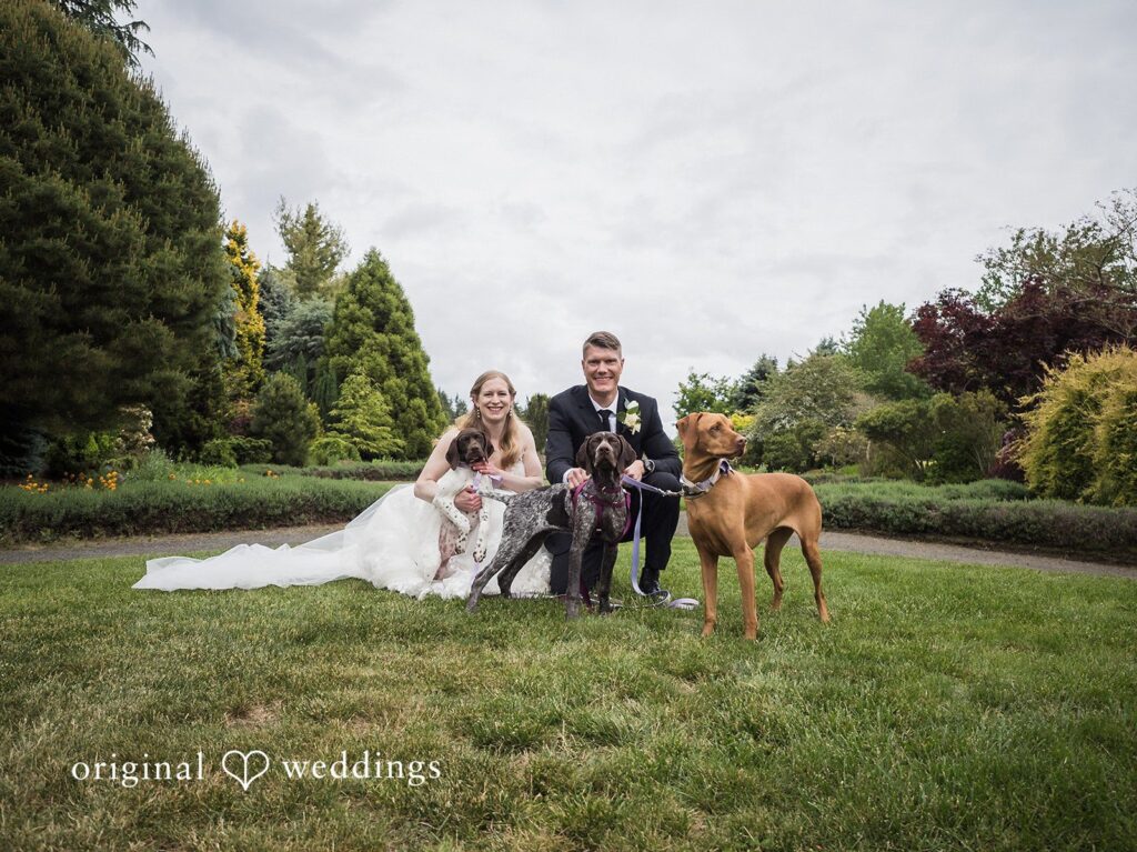 Elizabeth & Daniel -