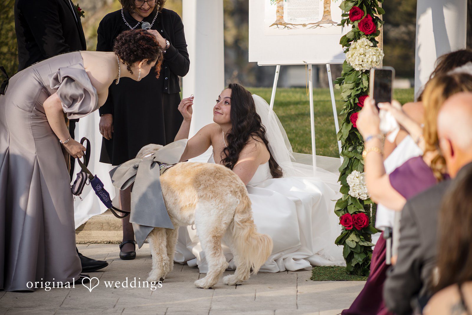 Bride receives wedding ring while seated beside dog during ceremony.