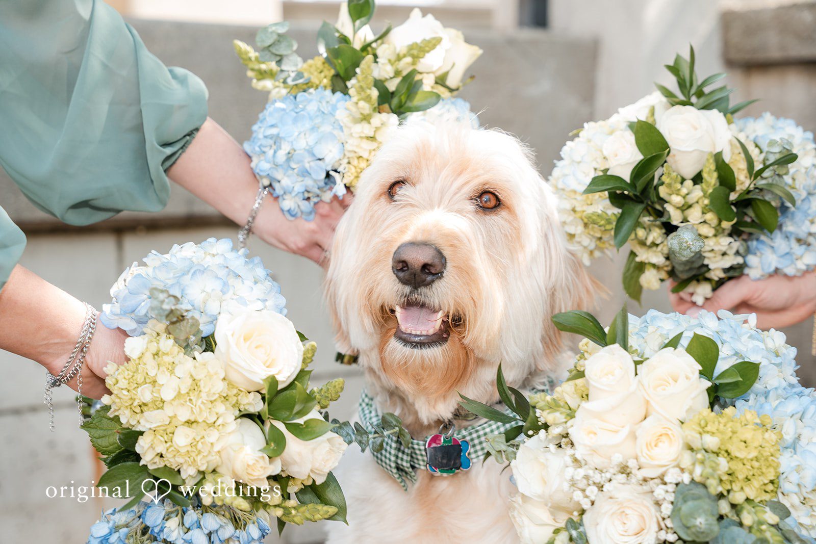 Milwaukee Wedding Photographers at Veterans Terrace | Sydney & Joseph -