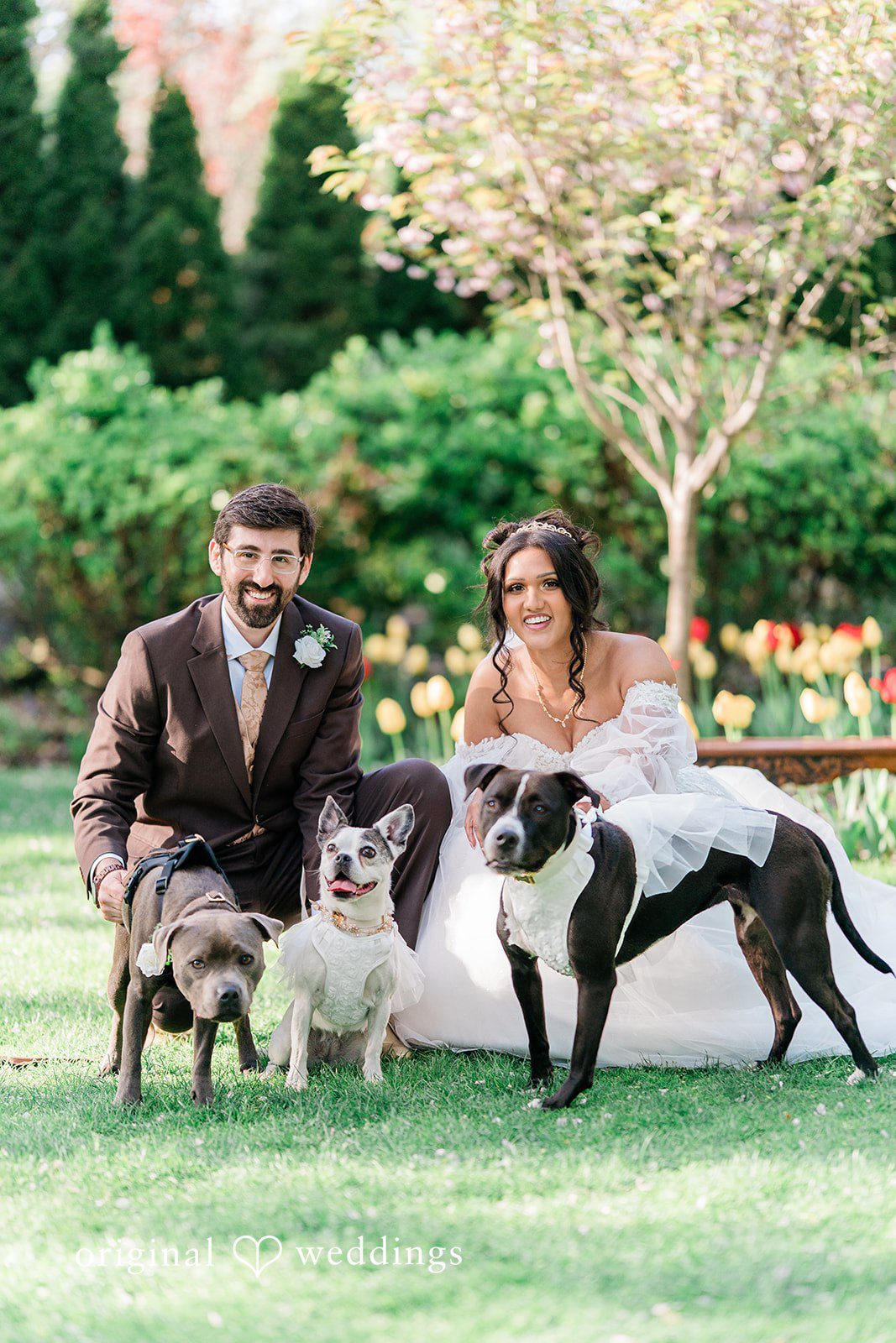 Sabrina + Jonathan Portrait of couple with the beautiful dogs