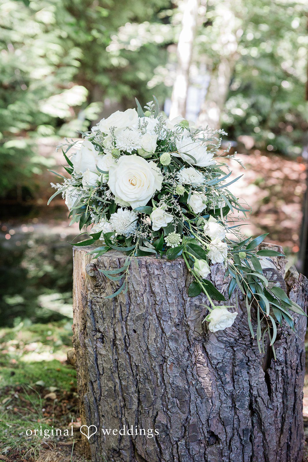 Jennifer + Steven Elegant floral bouquet at cedar springs