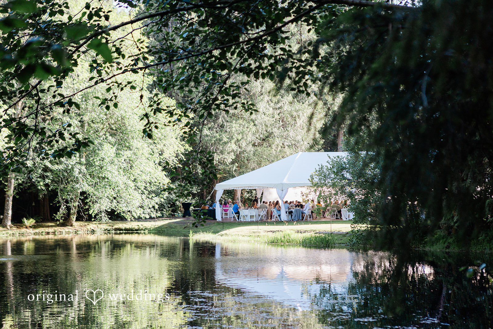 Jennifer + Steven Wedding venue with ceremony chairs arranged at cedar springs