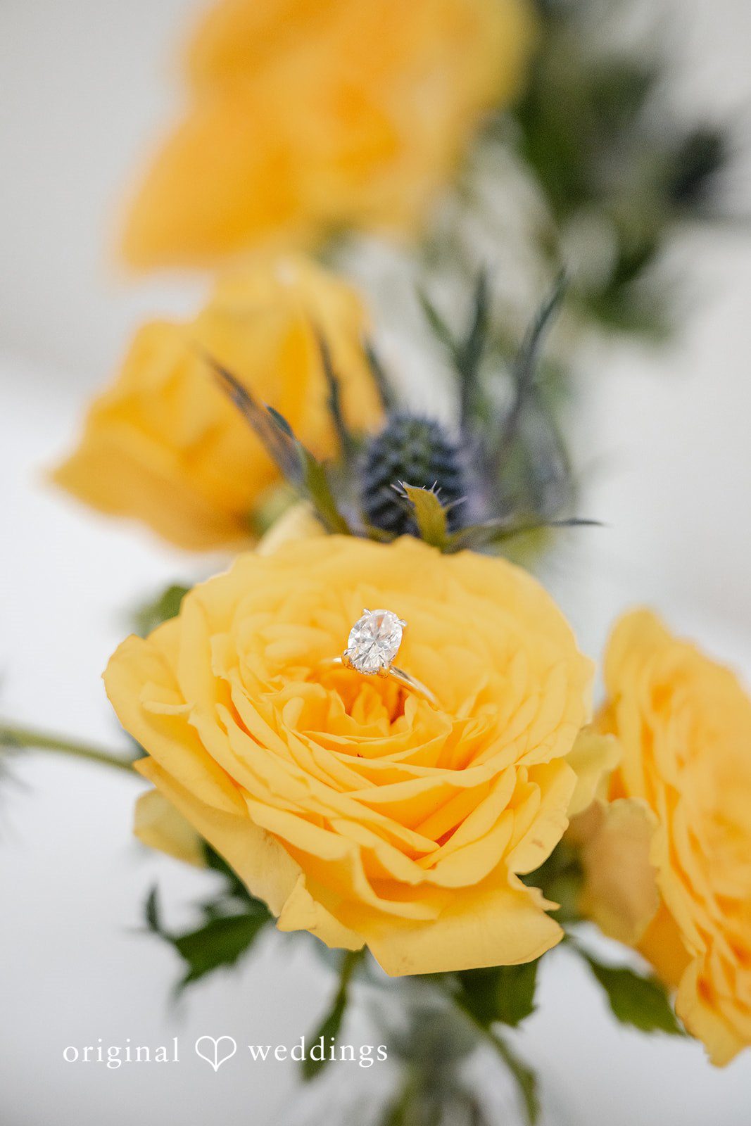 Brandi + Ryan Elegant wedding ring detail photographed at Christ the Lord Lutheran Church