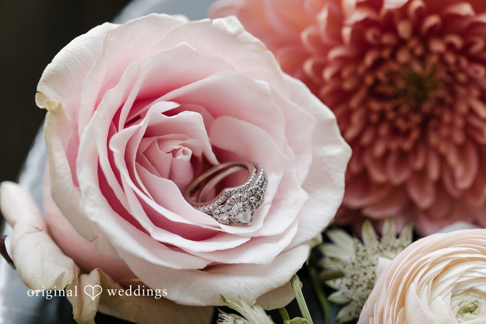 Allison + Austin Ever After Farms Flower Wedding | Allison & Austin -