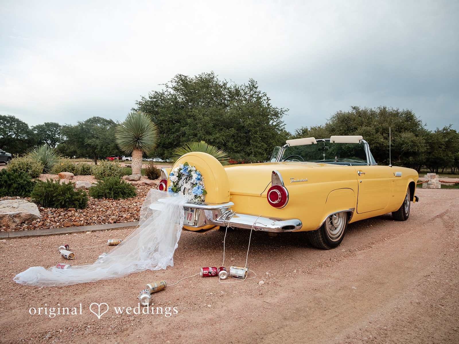 Abigail + Reed Austin Wedding Photographers at Hidden River Ranch | Abigail & Reed -
