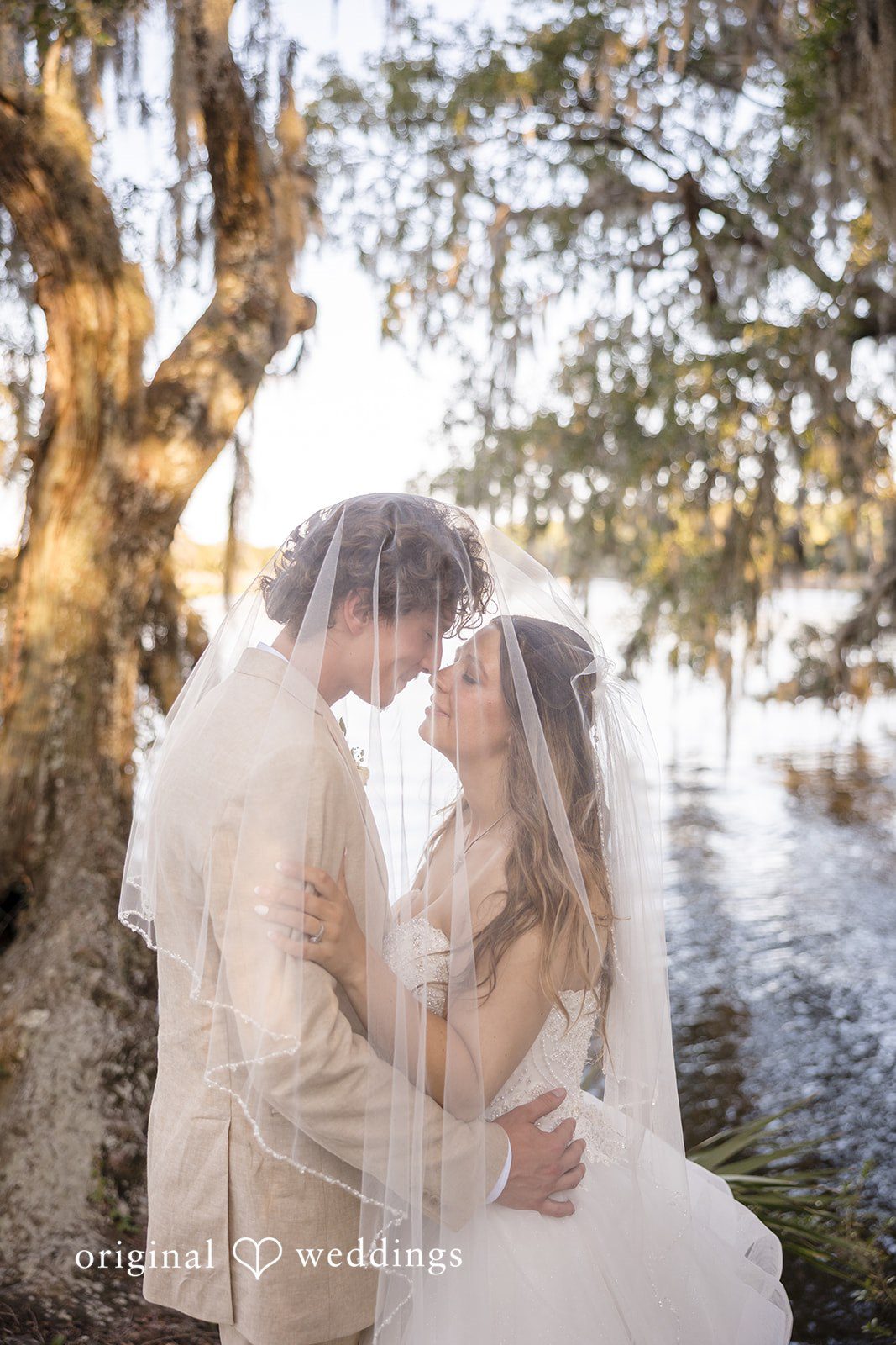 Madison + Aiden Intimate wedding portrait beneath the bridal veil overlooking the peaceful water at Magnolia Plantation and Gardens.
