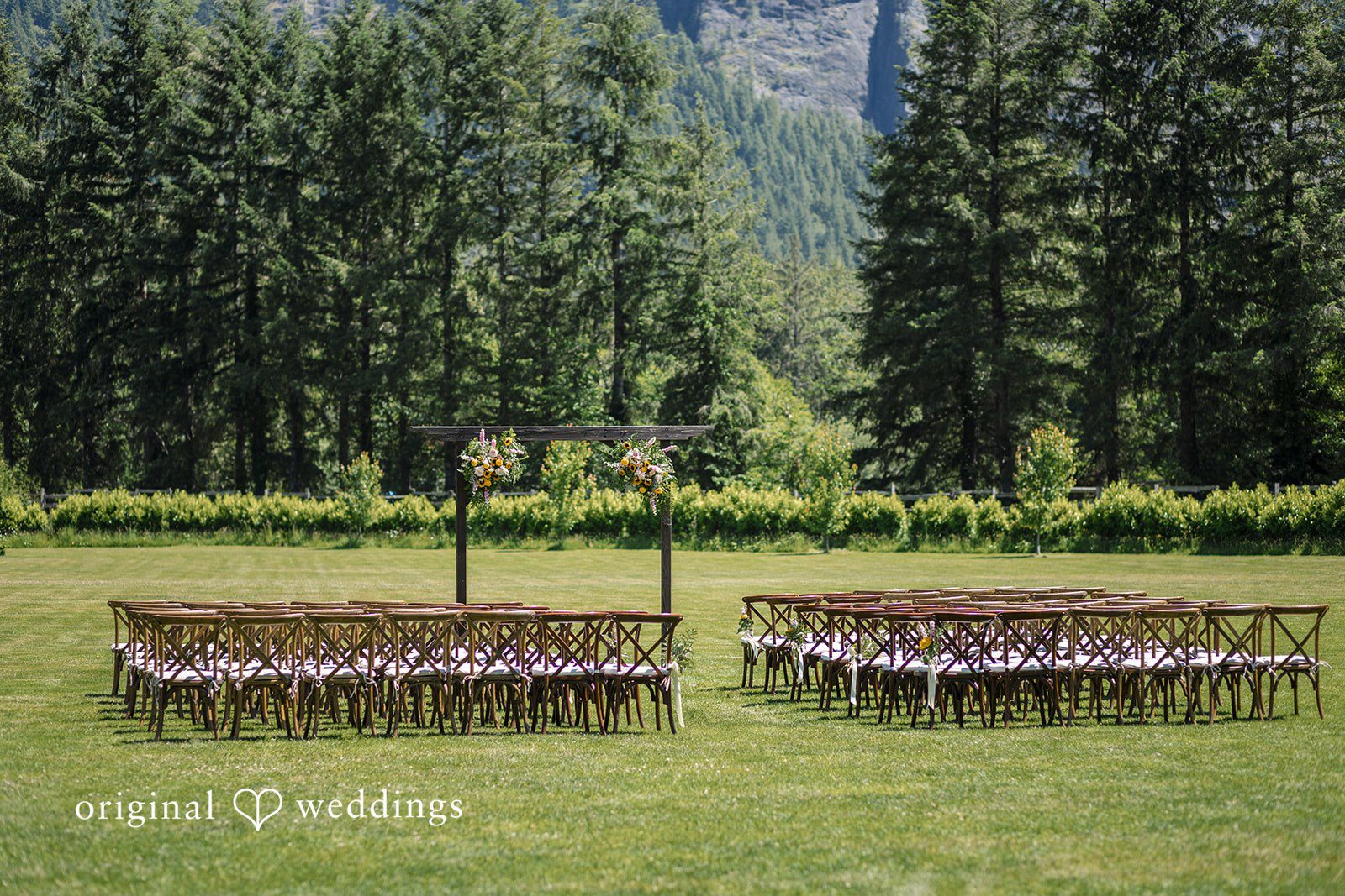 Beautifully arranged chairs at the wedding ceremony
