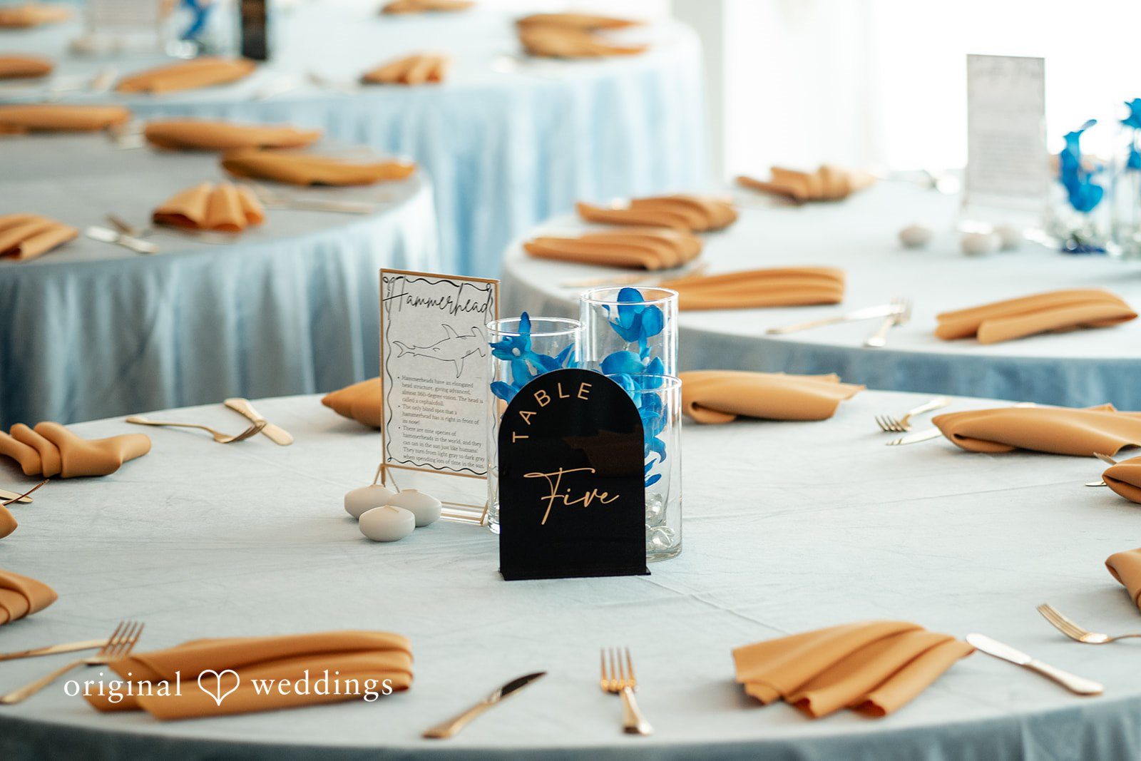 Anthony + Simi A wedding reception table set with light blue linens, peach napkins, and a centerpiece featuring blue flowers.