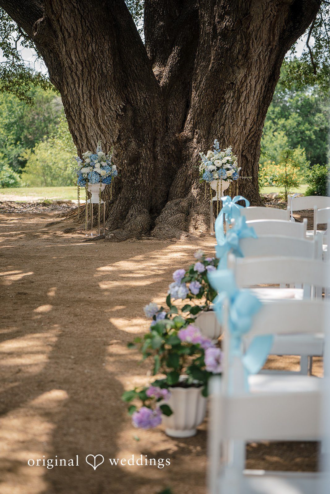 Morgan + Luke Rows of white benches decorated with blue flowers line a ceremony aisle.