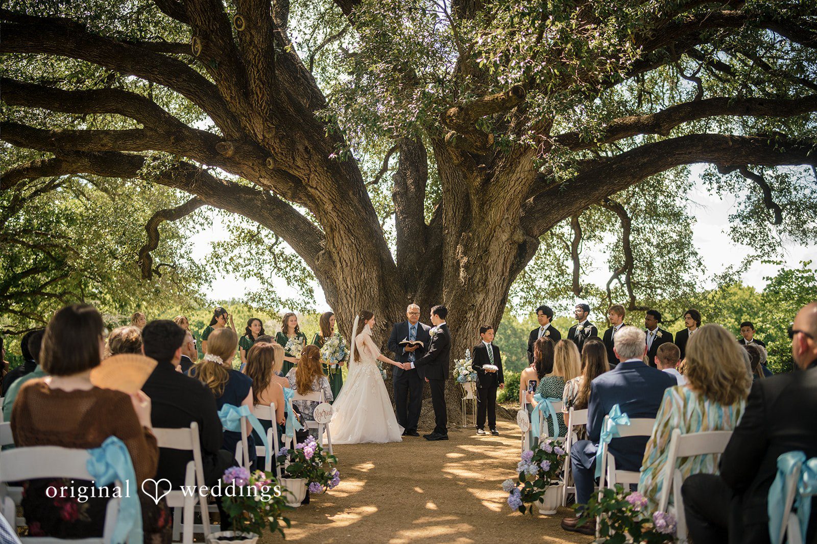 Morgan + Luke Guests sit in rows under a massive tree during a wedding ceremony.