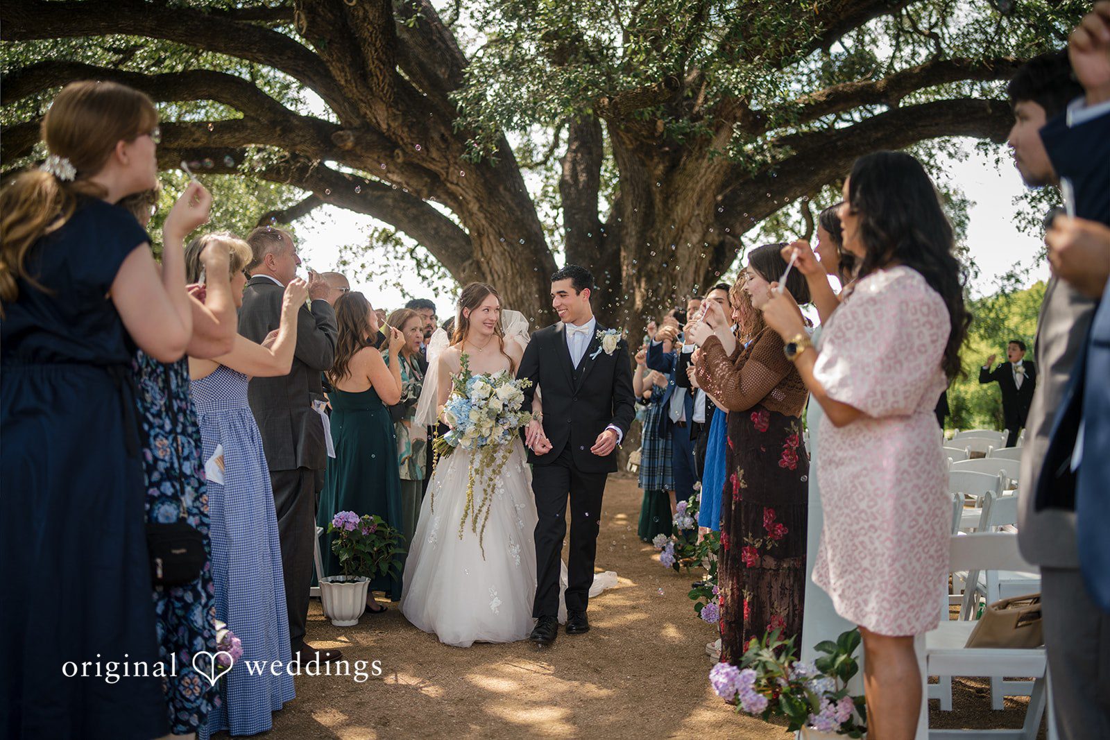 Morgan + Luke Wedding guests stand and clap during a ceremony processional.