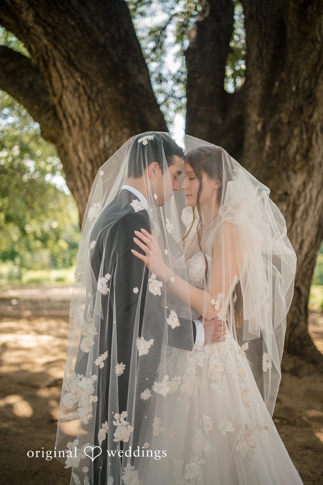 Morgan + Luke A bride and groom embrace while covered by a long sheer wedding veil.