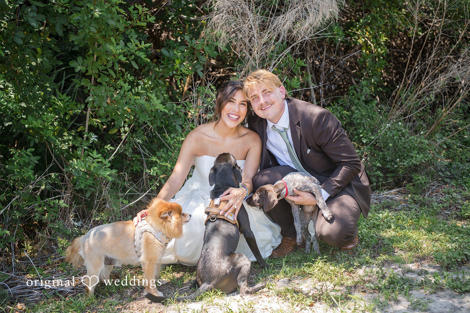 Couple sitting with puppies looking at the camera at San Pedro Catholic Church