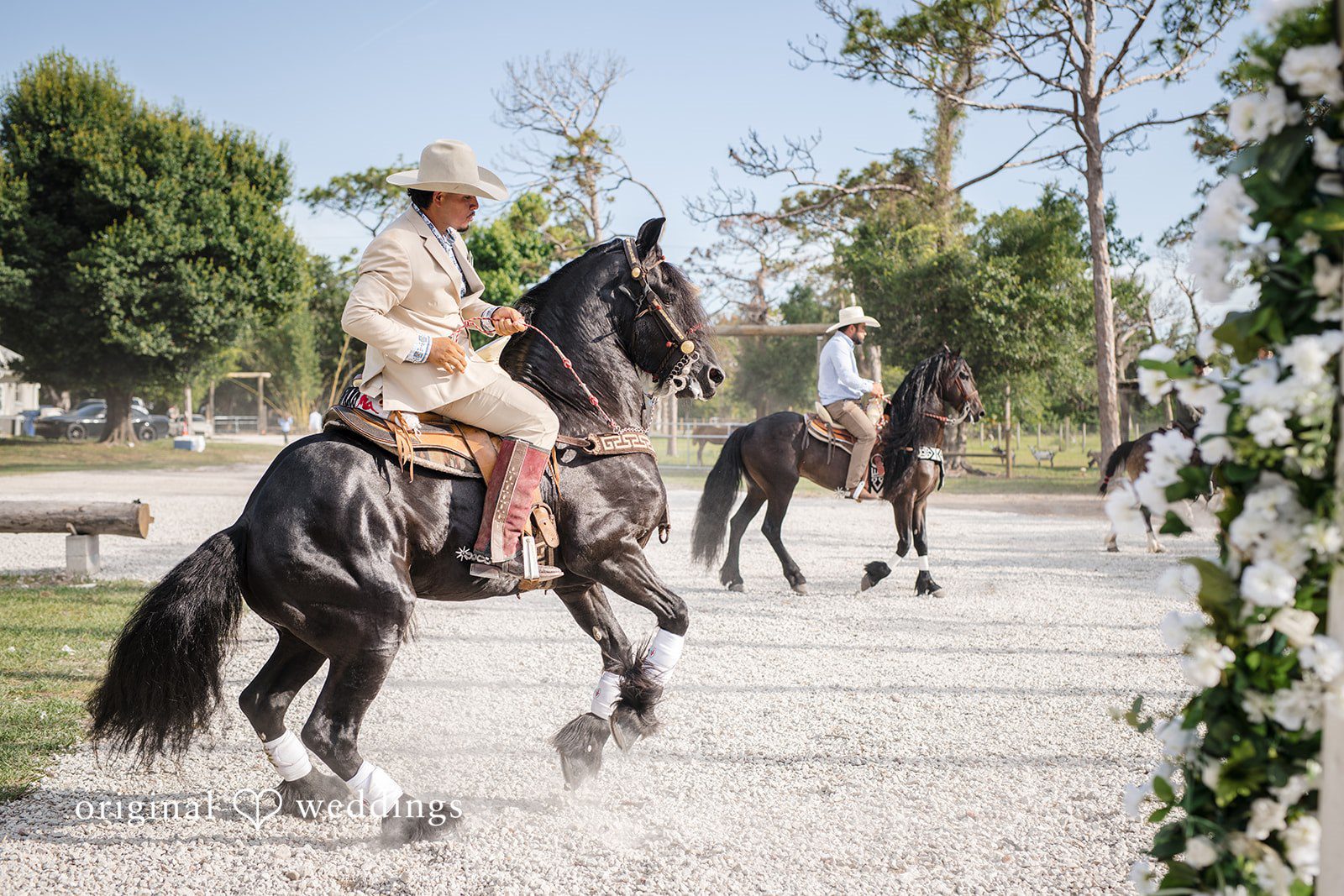 Elegant horses in motion at San Pedro Catholic Church