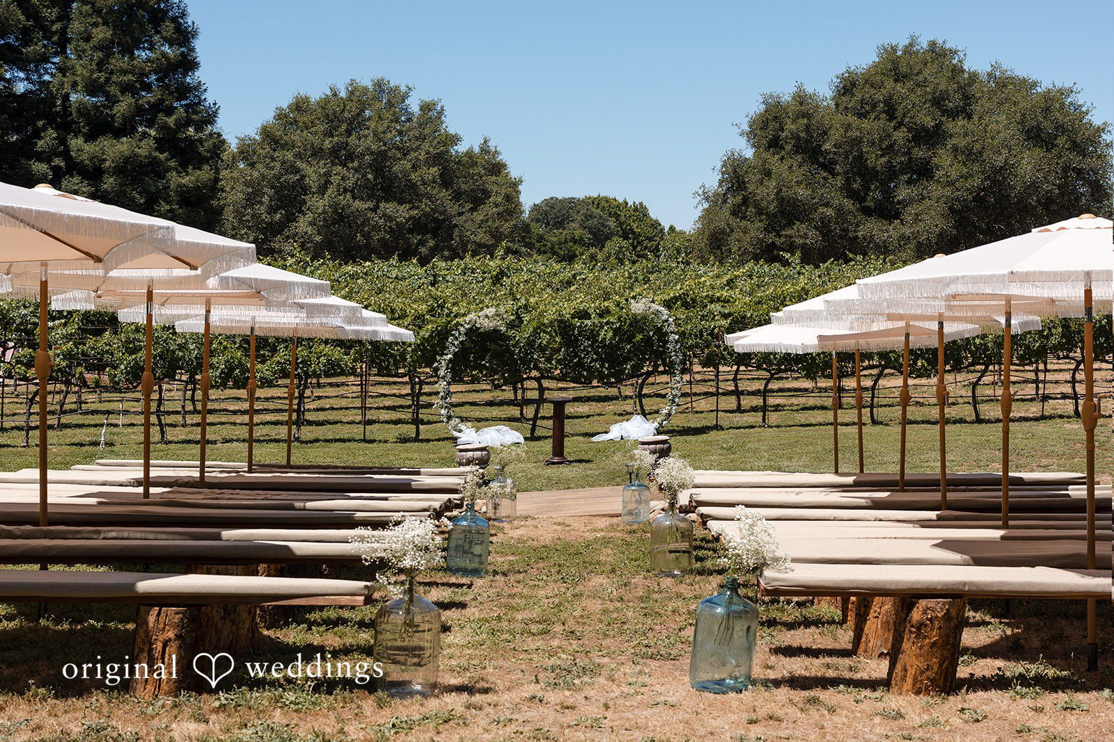 Avery + Ryan Rows of wooden benches with white umbrellas set up alongside a vineyard walkway.