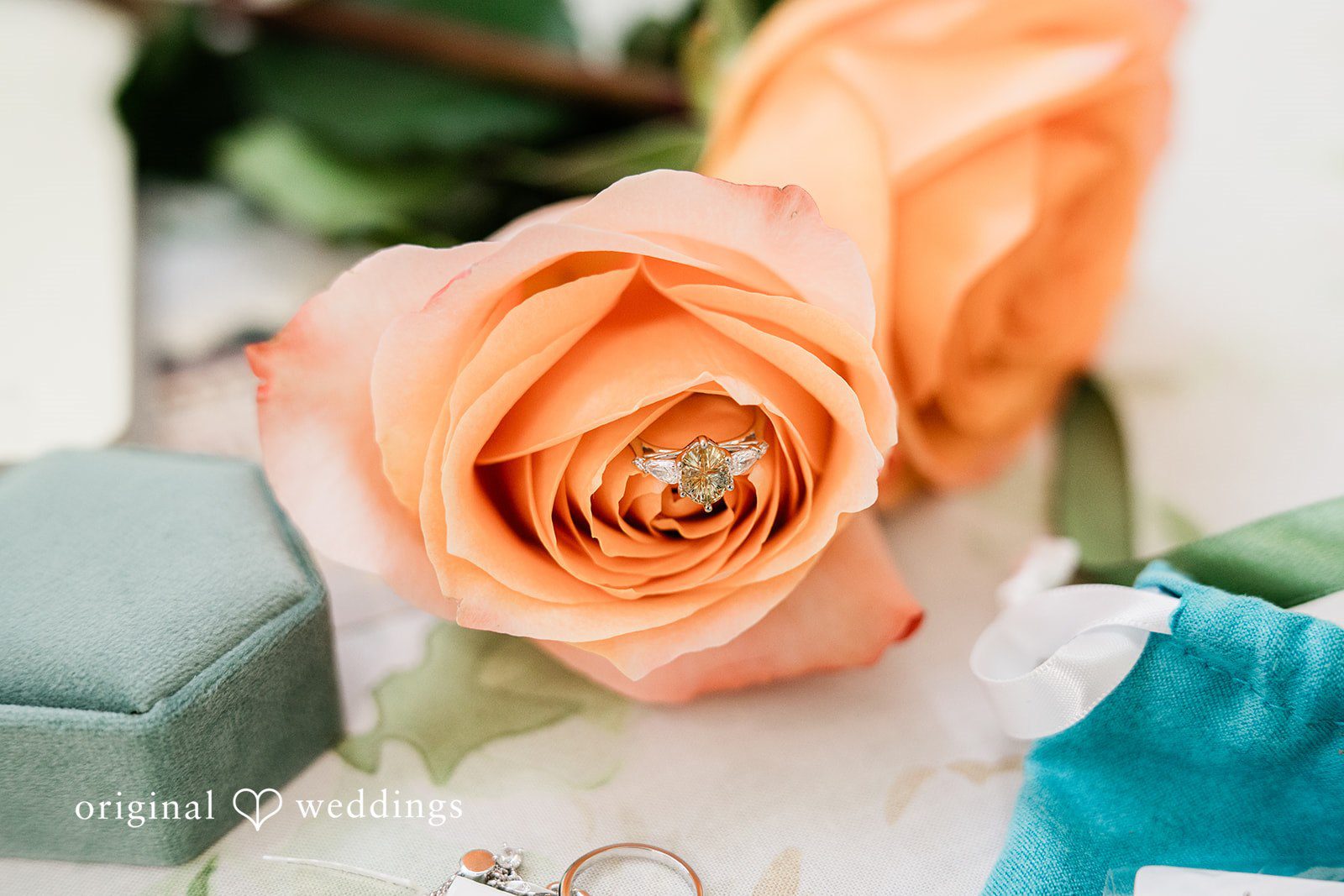 Sophia + Miles Close-up macro shot of a vibrant orange rose bloom next to a teal fabric accent.