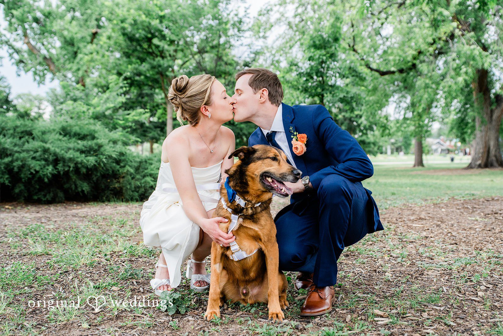 Sophia + Miles A bride and groom crouching down on a grassy lawn and kissing over their sitting brown dog.