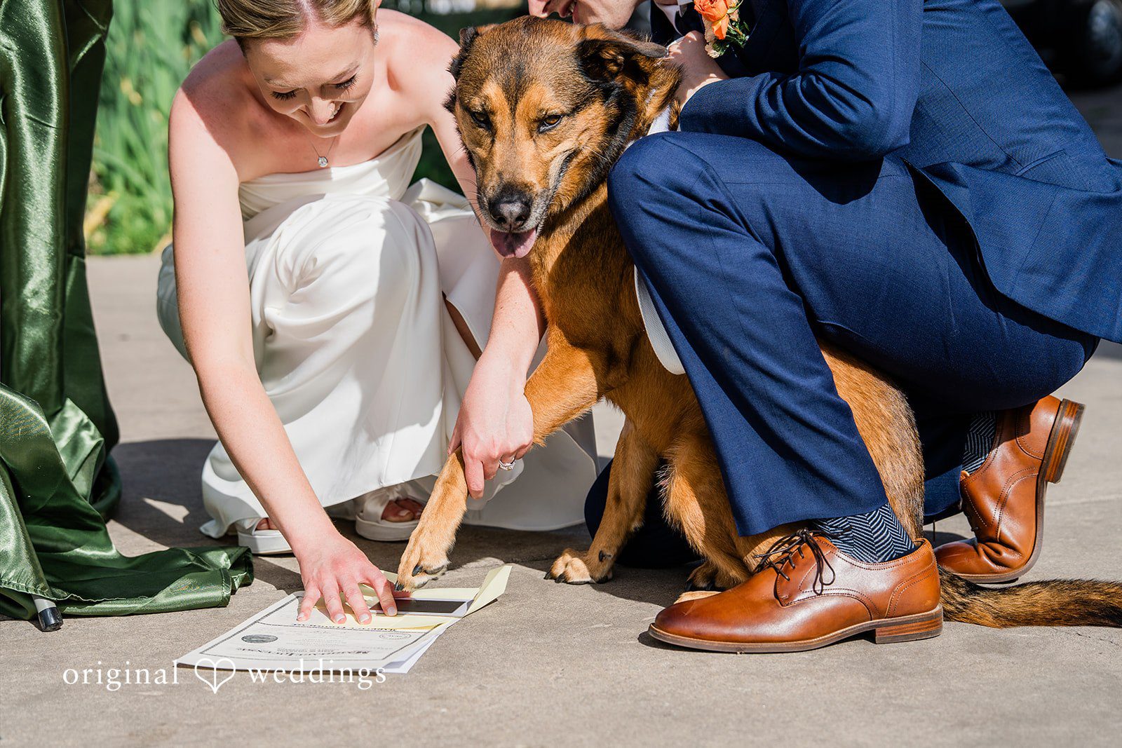 Sophia + Miles A bride and groom interacting with a brown dog during their wedding.