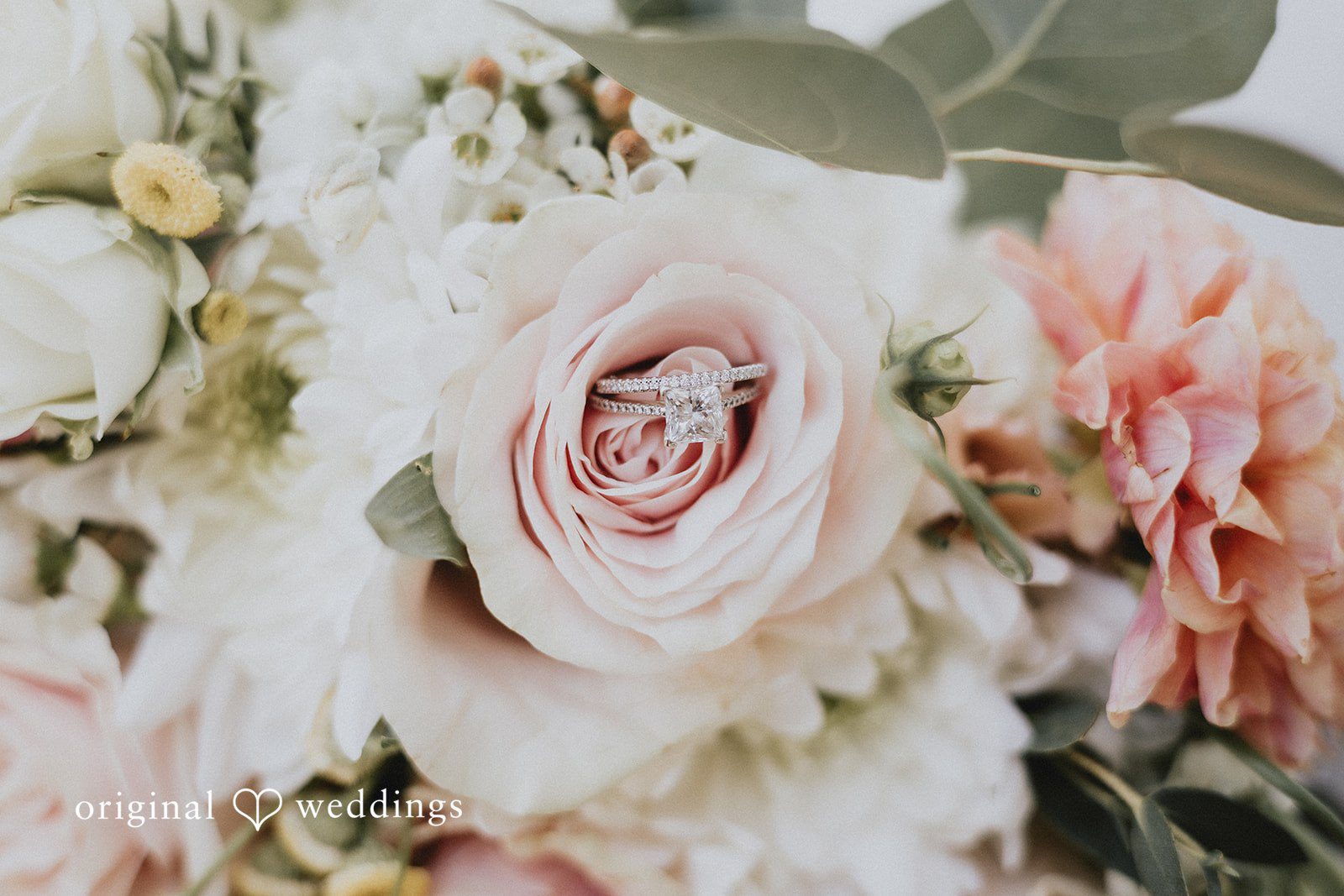 Emily + Ethan Close-up of rings, soft pink and white wedding flowers.