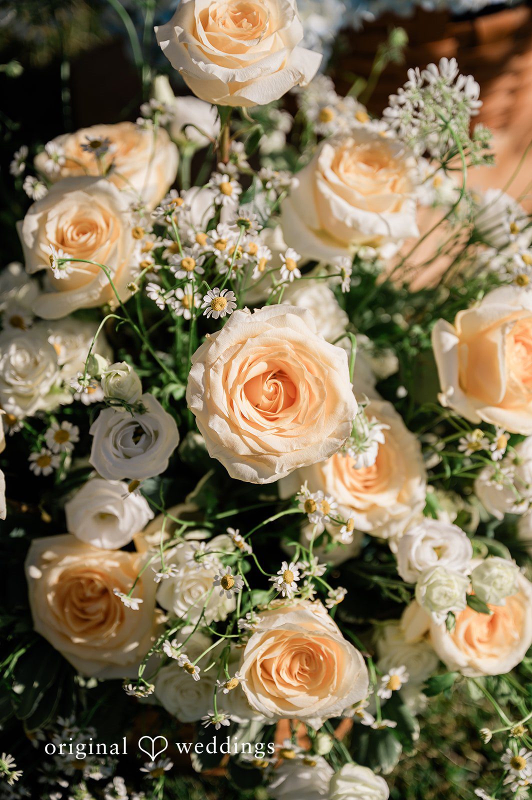 Beautiful flower