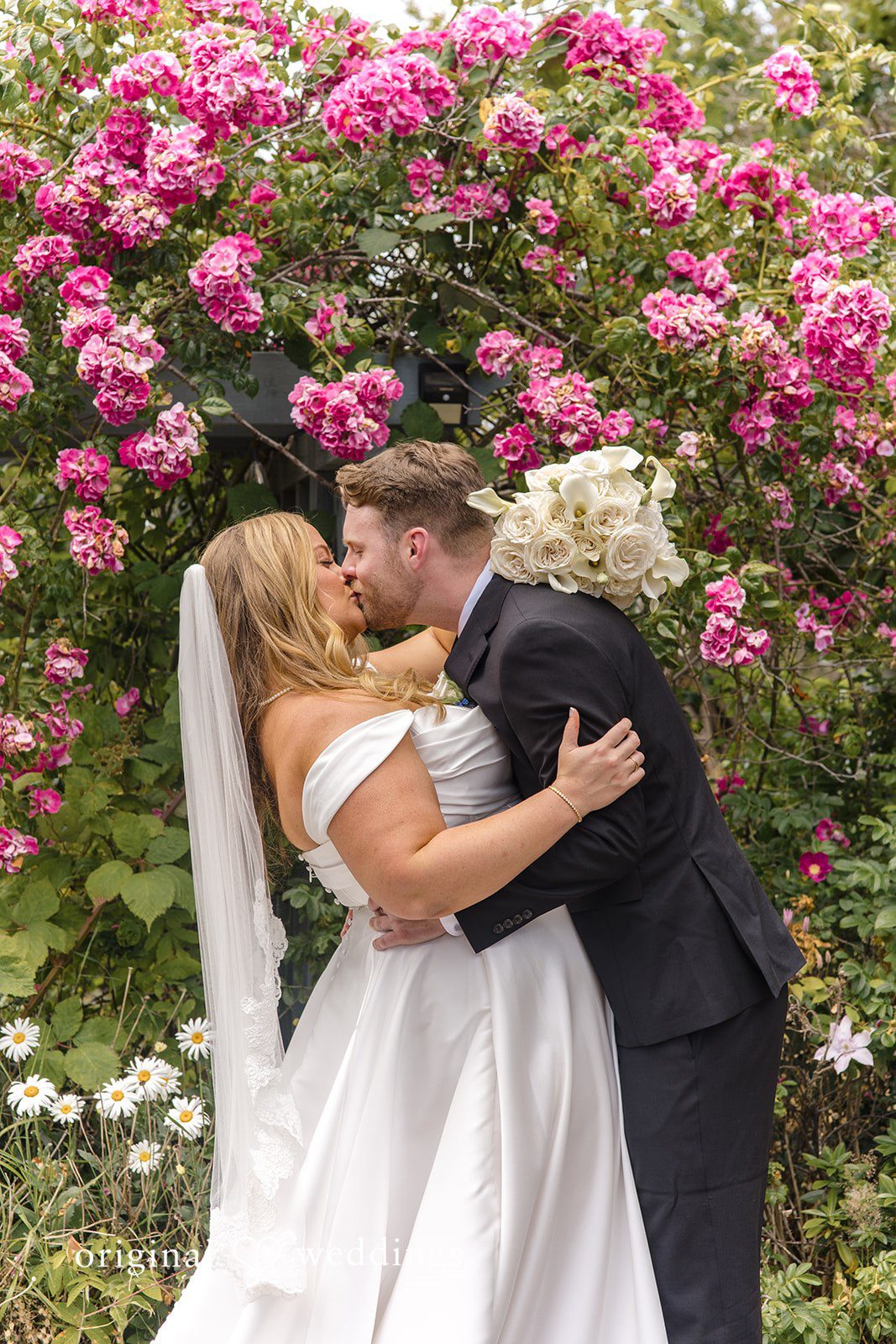 Madelyn + Connor A bride and groom sharing a kiss in front of a wall of pink roses.