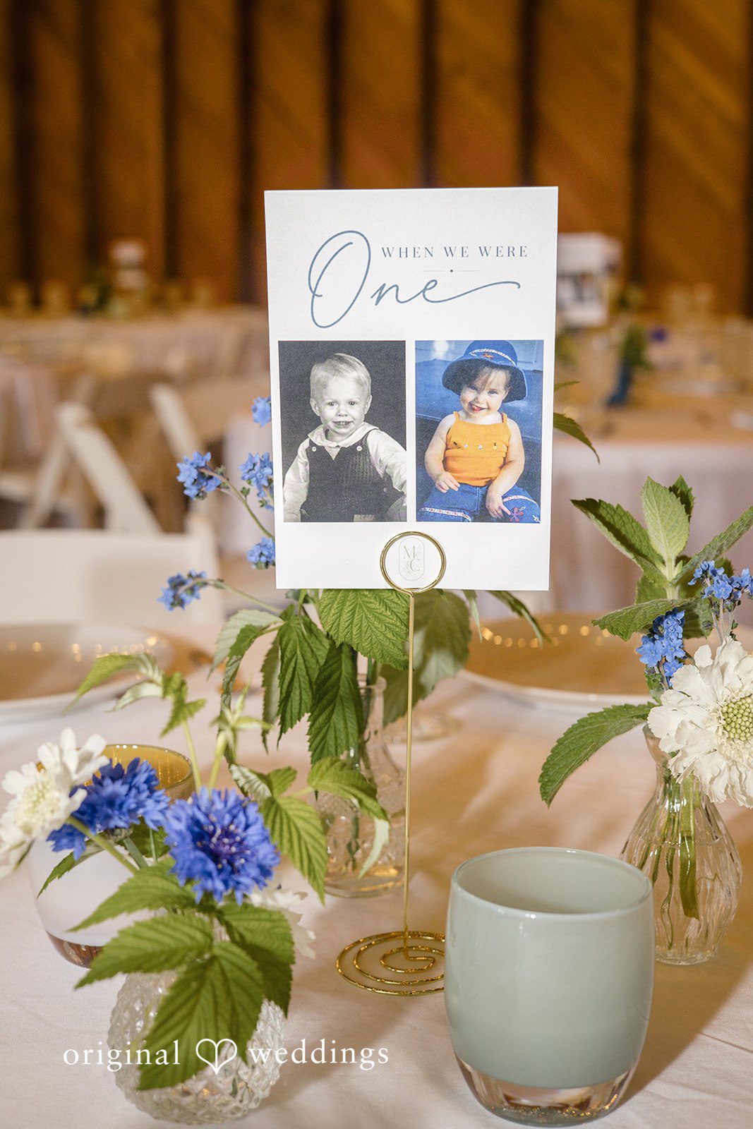 Madelyn + Connor A close-up of a reception table setting with blue flowers and a framed table number card.