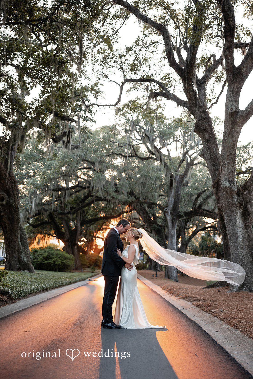 Maggie + Taylor A couple poses on a paved road beneath large, overhanging mossy trees.