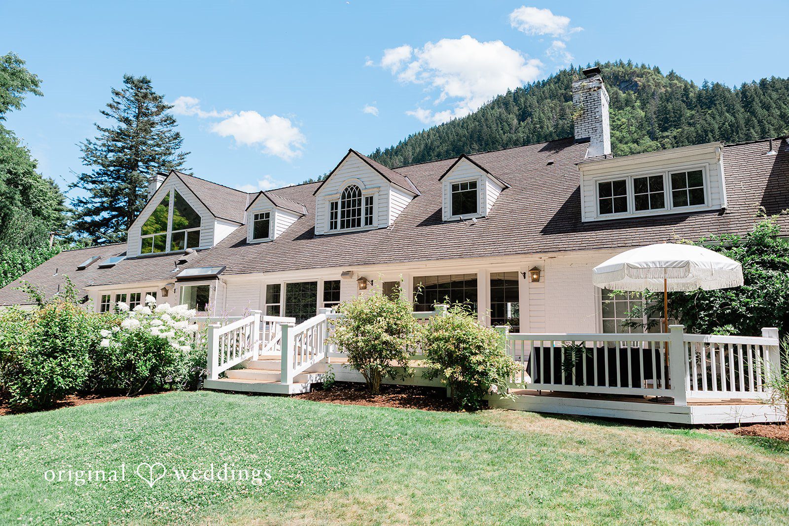 Large light-colored estate house surrounded by lush green trees.
