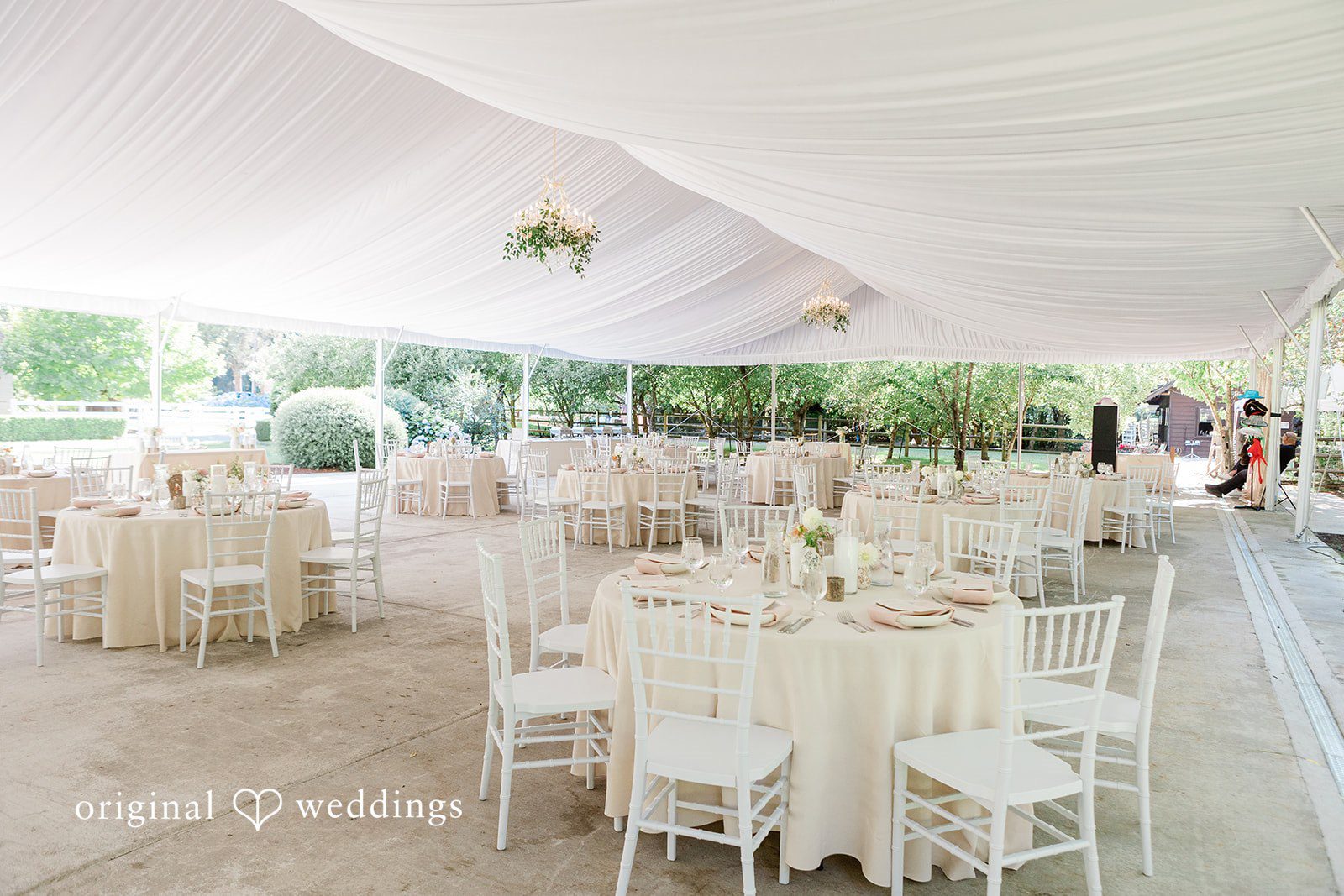 Banquet hall filled with elegantly set round tables and white chairs.