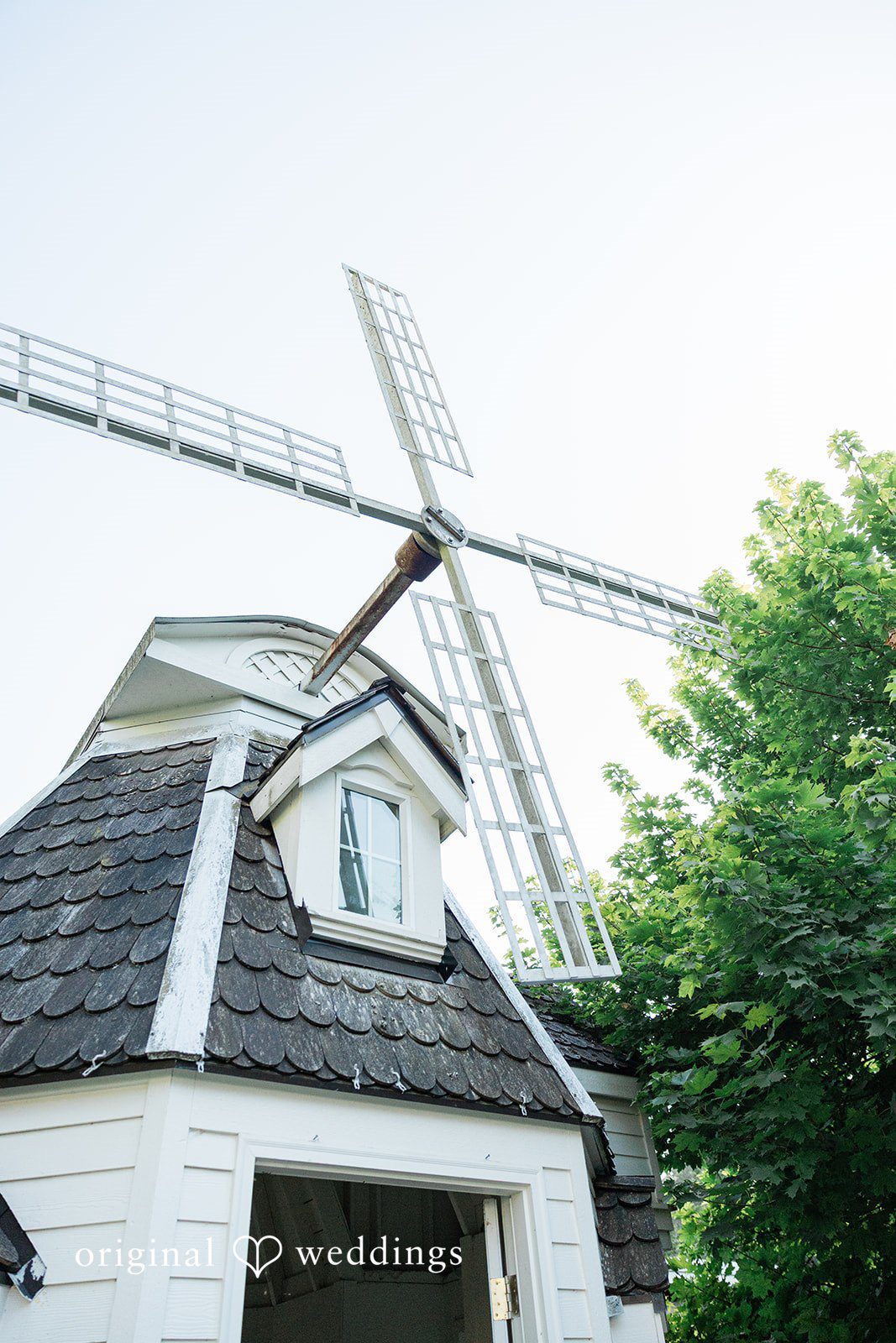 White traditional windmill framed by vibrant green foliage.