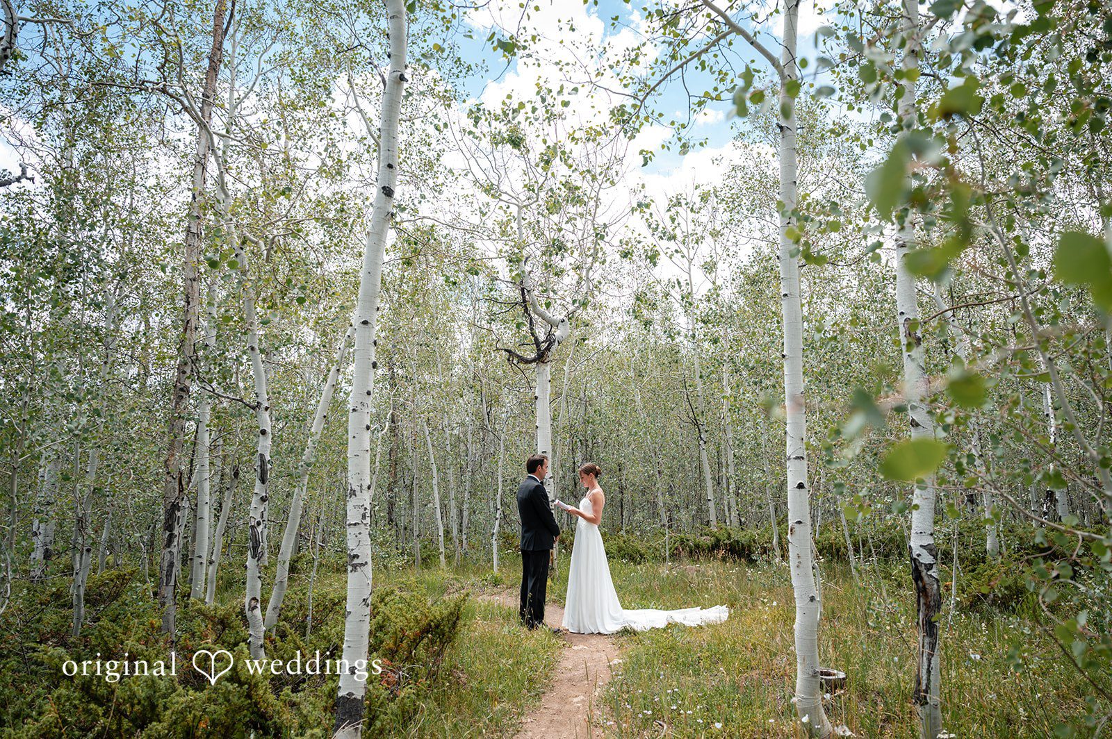 Emilia + Charlie A bride and groom standing together on a path in a birch forest.