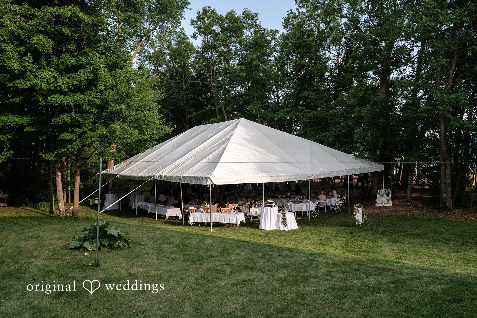 A large white event tent pitched on a green lawn surrounded by tall trees