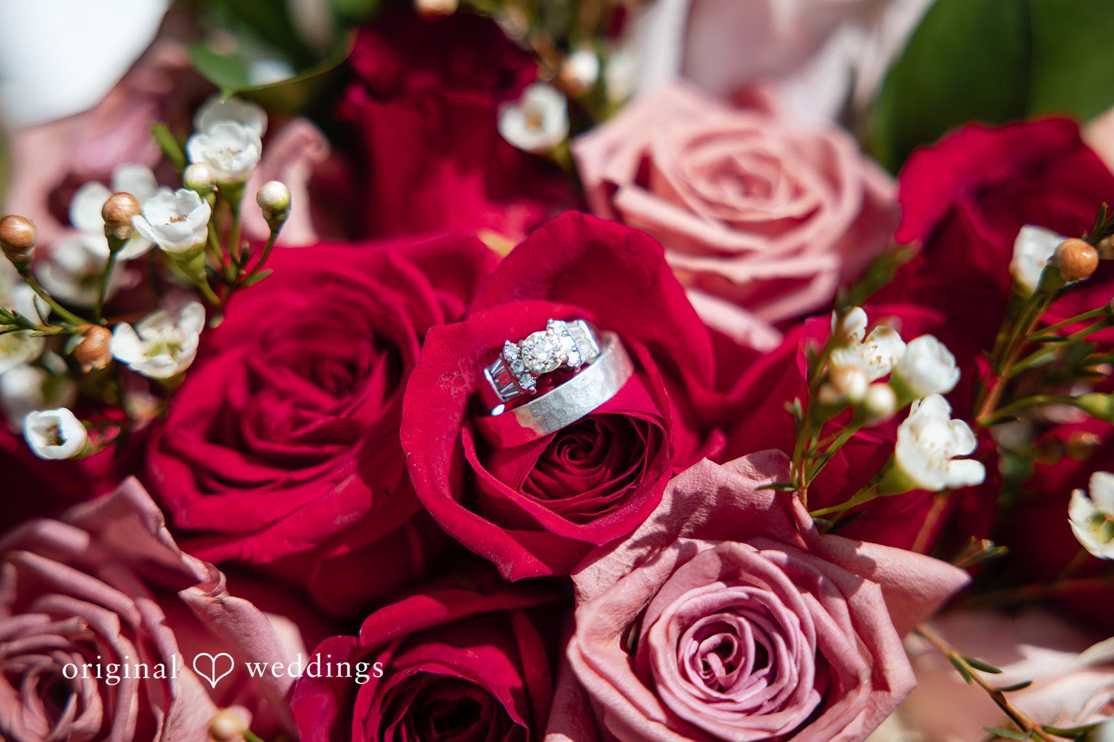 Beautiful ring details surrounded by floral decoration