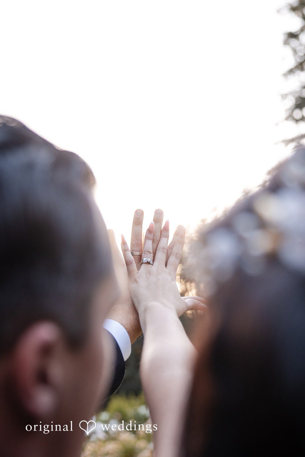 Bride and groom showing wedding rings