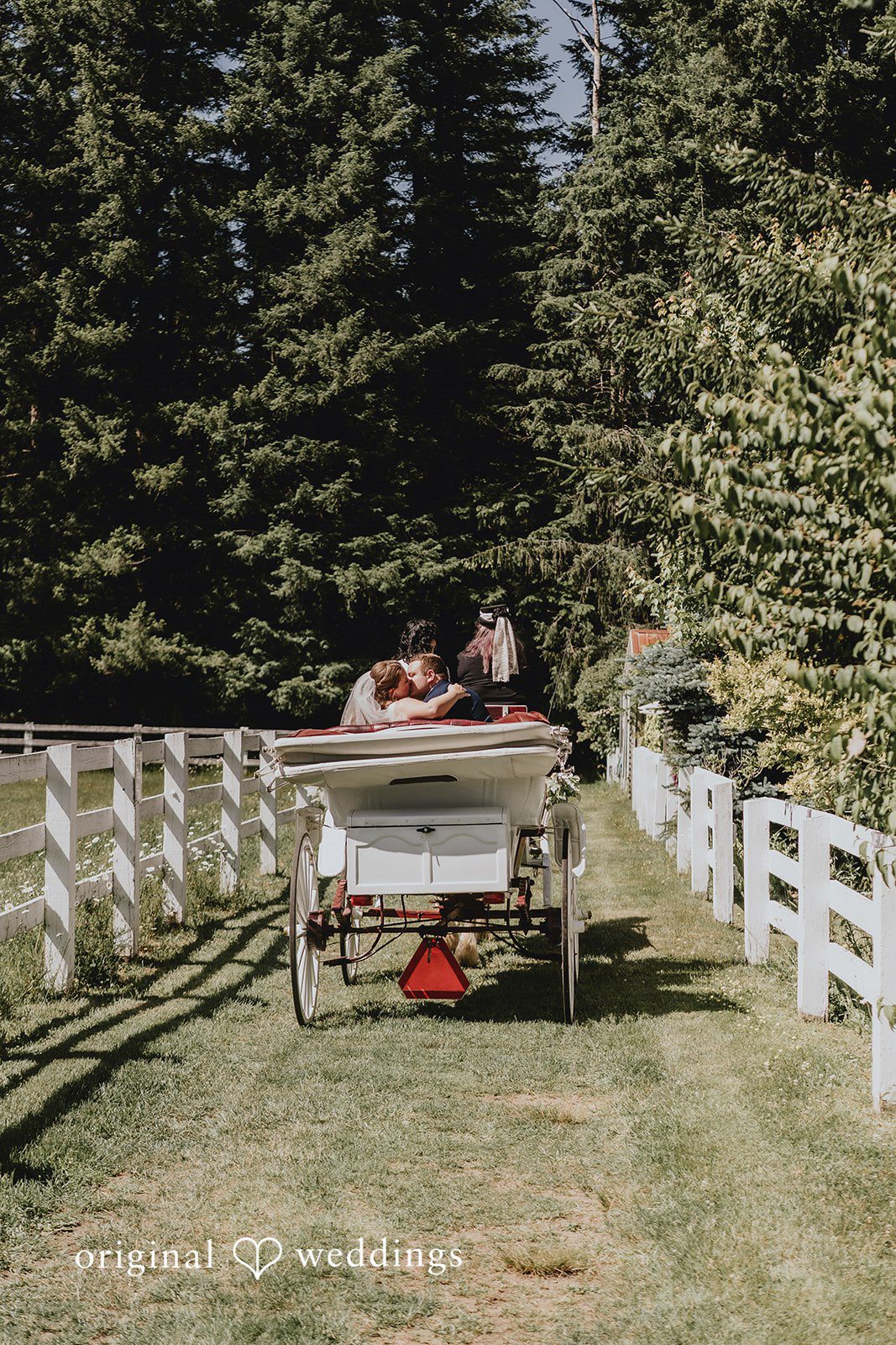 Natalie + DJ Romantic picture of bride and groom while kissing each other at Rein Fire Ranch