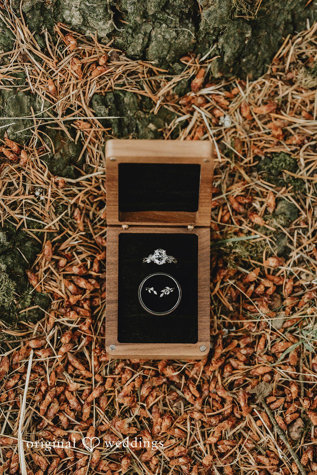 Natalie + DJ Close up shot of wedding rings placed in a rustic setup at Rein Fire Ranch