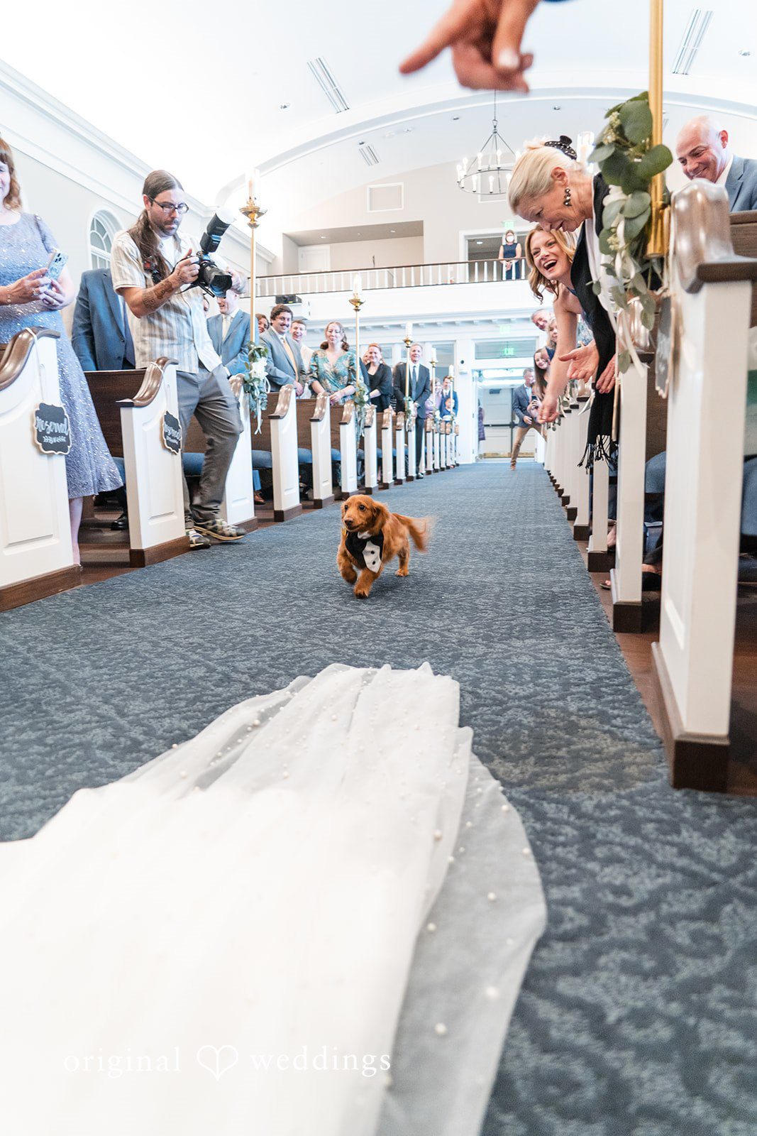 Chelsea + Matthew Cute dog entrance moment during wedding ceremony at The Rivulet