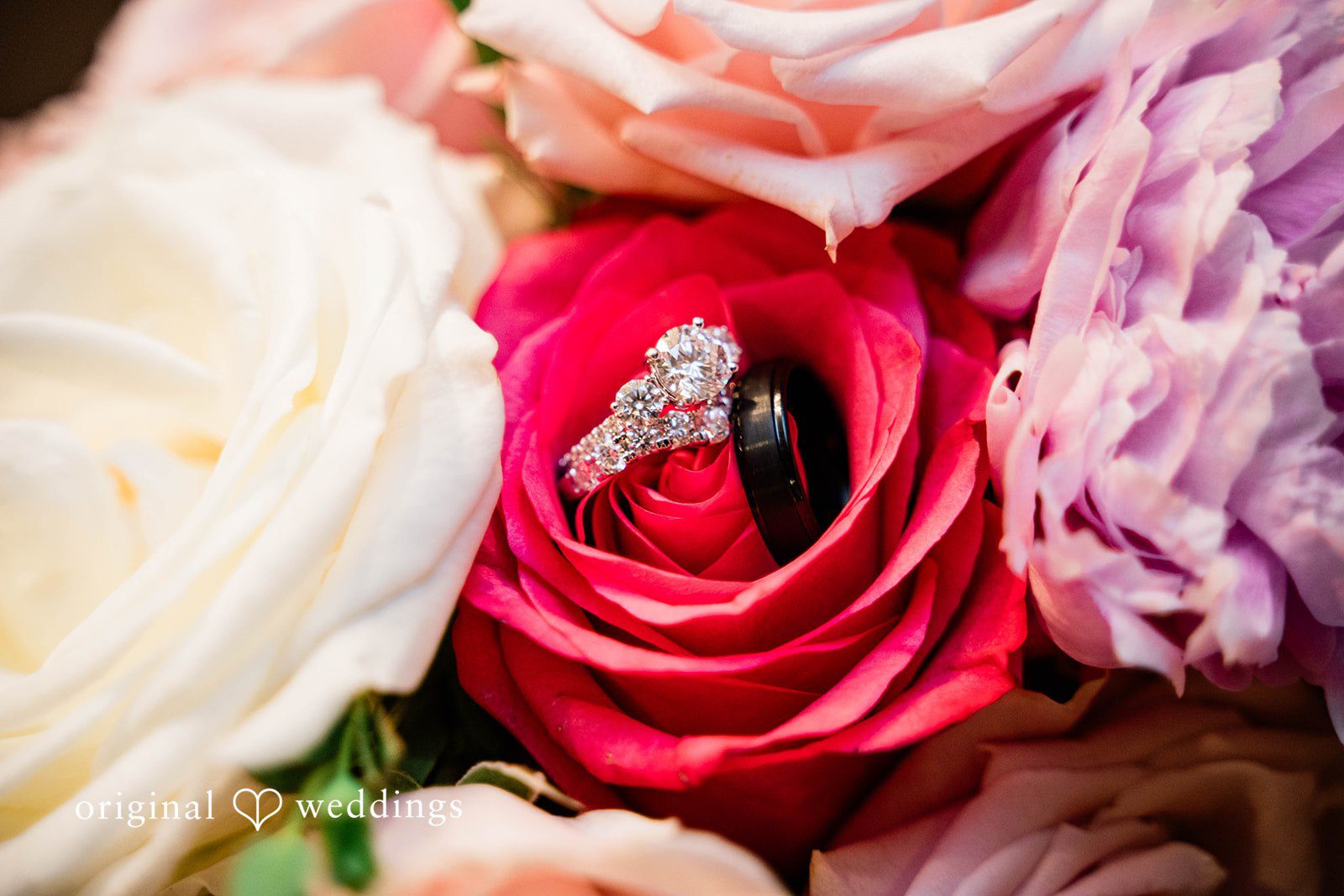 Wedding rings embracing inside the petals of a red rose.