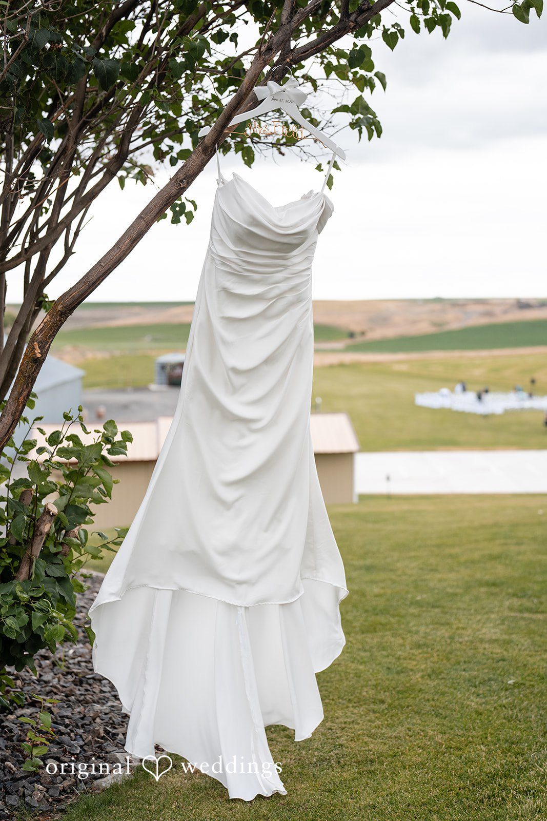 Kayla + Dillon A white wedding dress hanging elegantly from a tree branch over a grassy landscape.