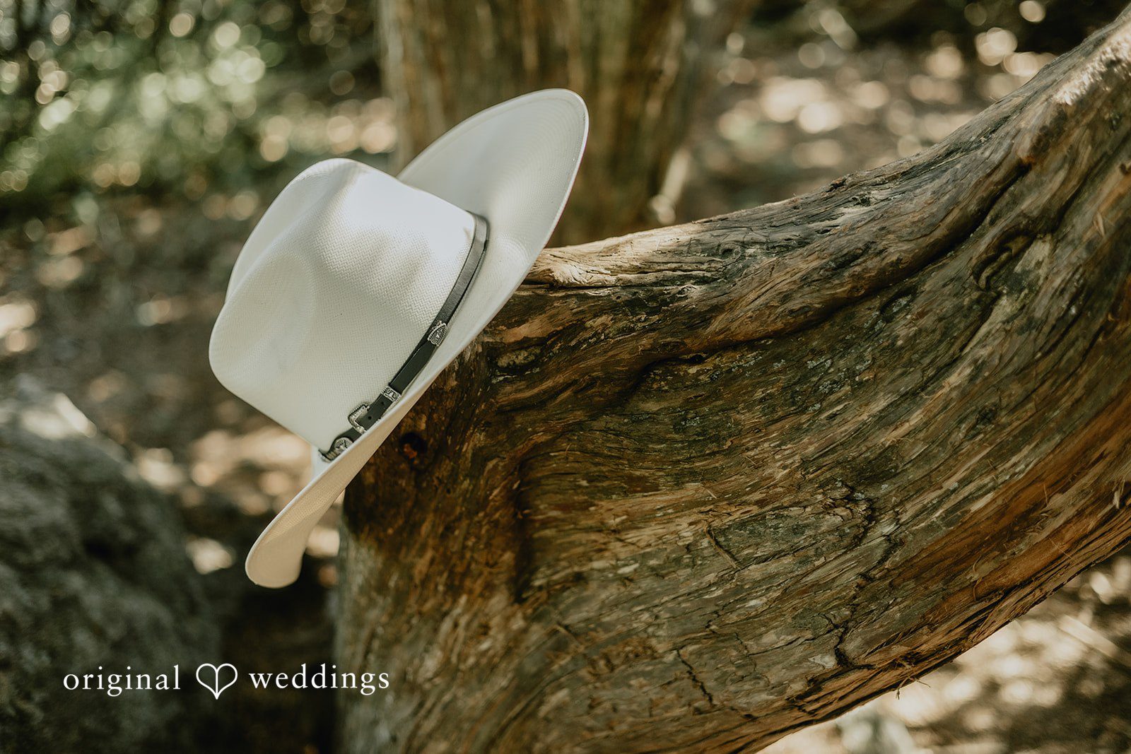 Meghan + Kal A white sunhat hangs from a branch of a tree trunk.