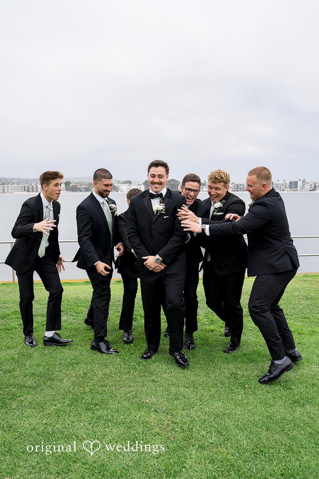 Kalina + Malakai A group of groomsmen in matching black tuxedos standing together on the grass.