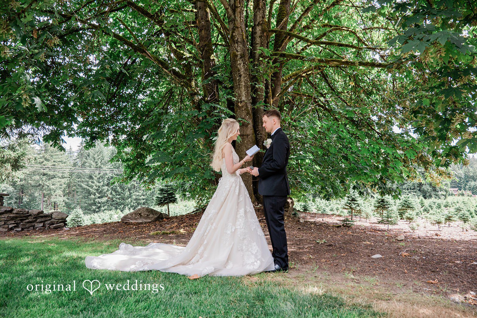 Luke + Kelsey Bride and groom standing together under a large tree.