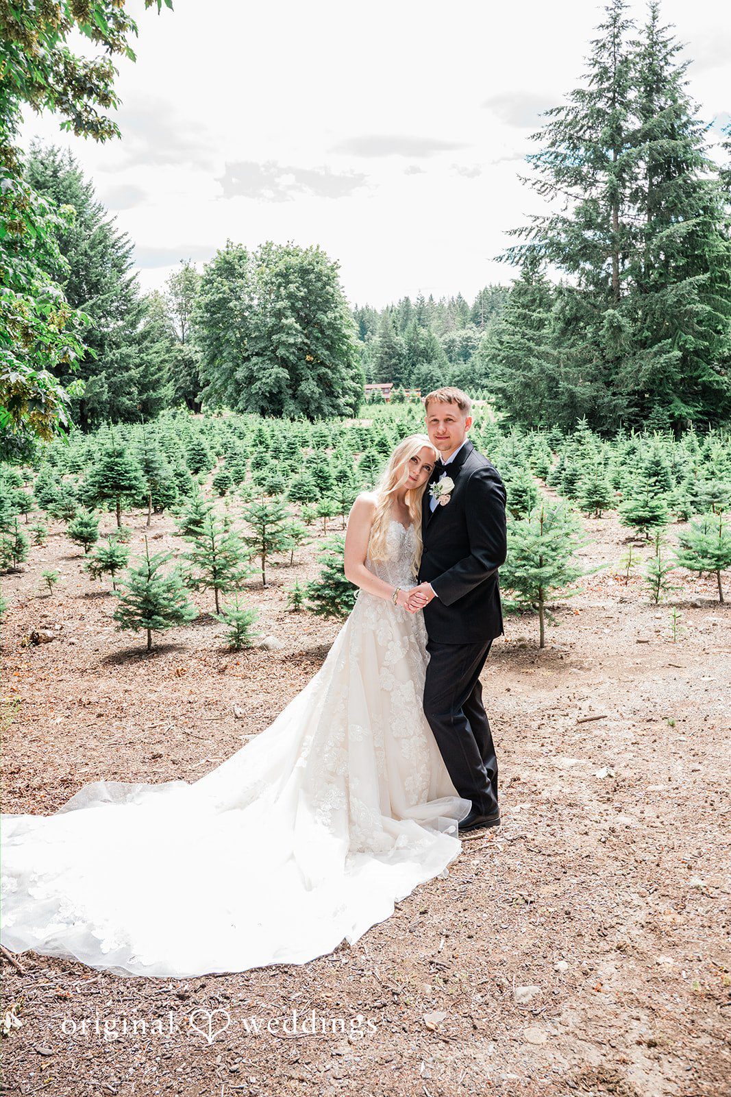 Luke + Kelsey Stunning Portrait of couple at Trinity Tree Farm by Seattle Wedding Photographers from Original Weddings.