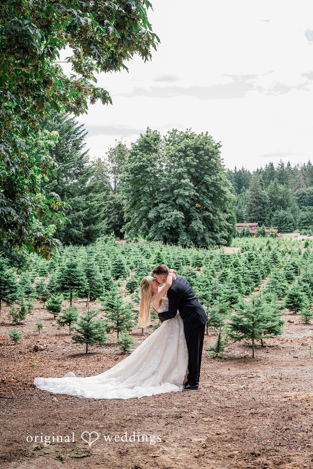 Luke + Kelsey A groom dipping a bride for a kiss in a field.