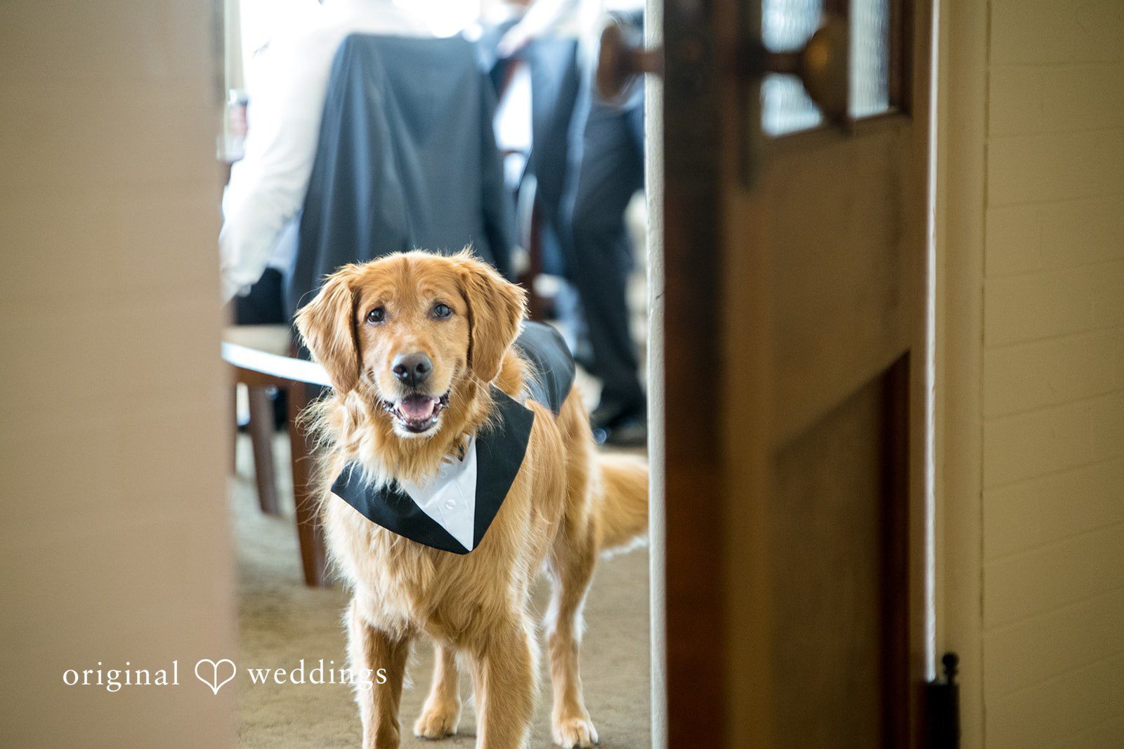 Angela + Brent Cleveland Wedding Photographers at Whitehall Columbia | Angela & Brent -