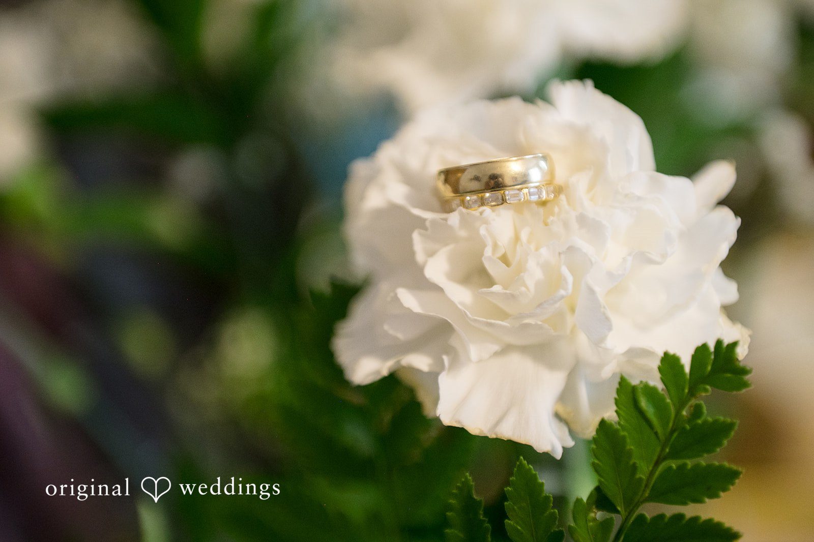 Angela + Brent Cleveland Wedding Photographers at Whitehall Columbia | Angela & Brent -