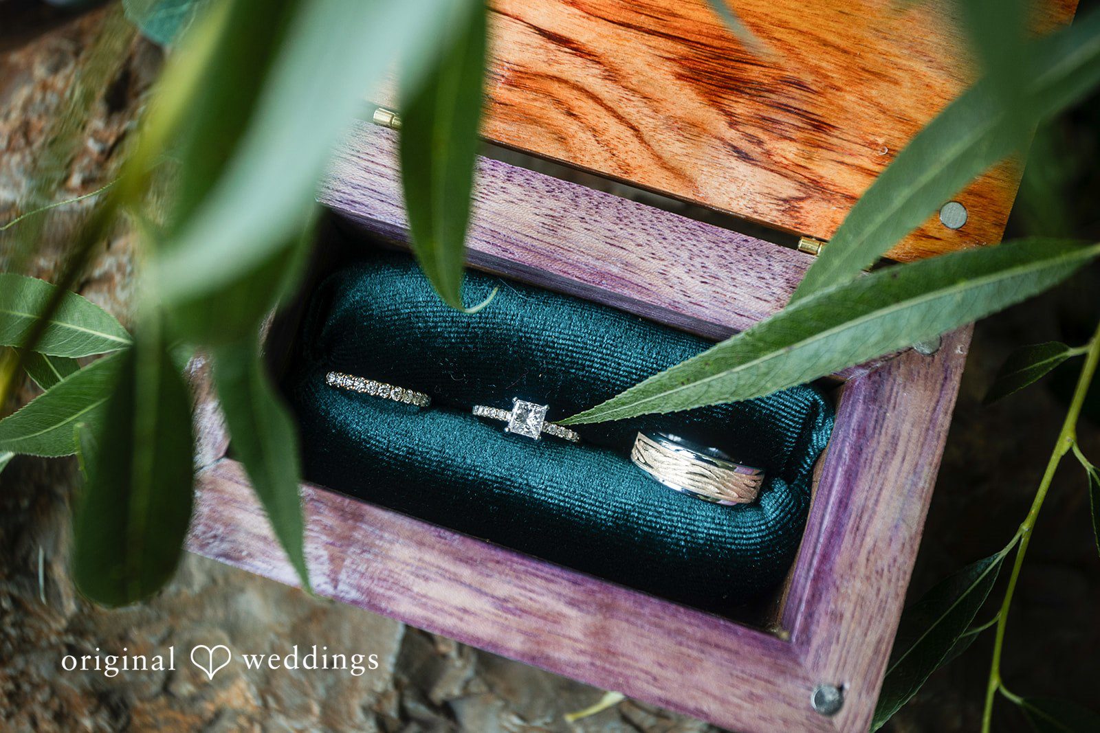 Savannah + Phillip Two wedding rings tucked inside a small decorative wooden box surrounded by green leaves.