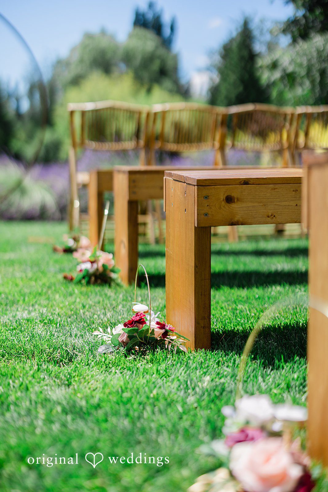 Veronica + Andrew Empty wooden benches arranged on a green lawn for an event.