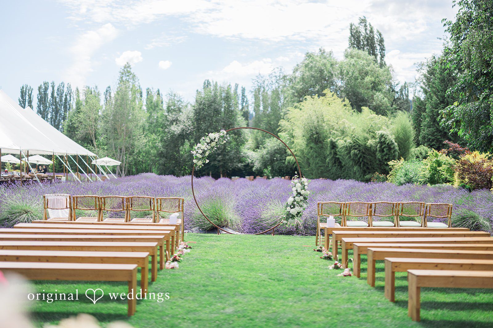 Veronica + Andrew A pathway between rows of empty wooden benches leading toward a scenic lavender background.