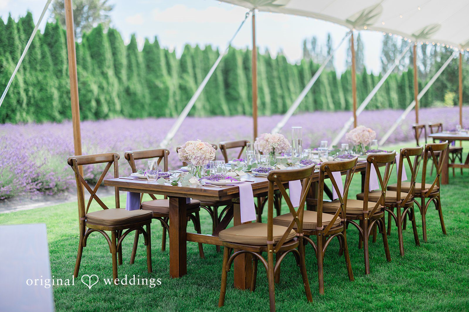 Veronica + Andrew A long wooden dining table set with chairs in a grassy area.